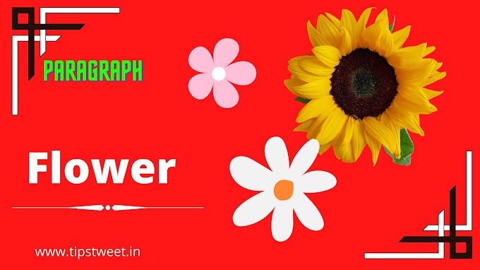 A Flower Garden Paragraph within 300 Words || A paragraph about "A flower Garden" 