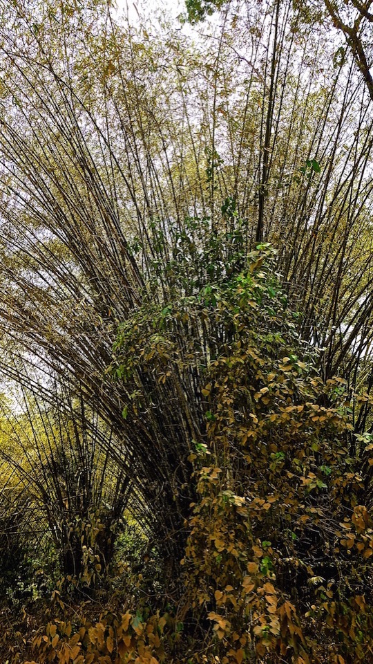 DSC01780