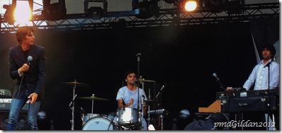 Rock en Seine 2011 (20)