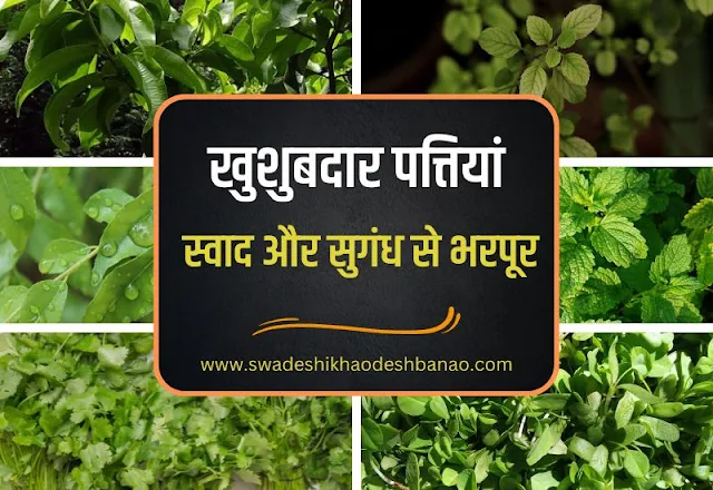 aromatic herbs used in indian cuisine in hindi