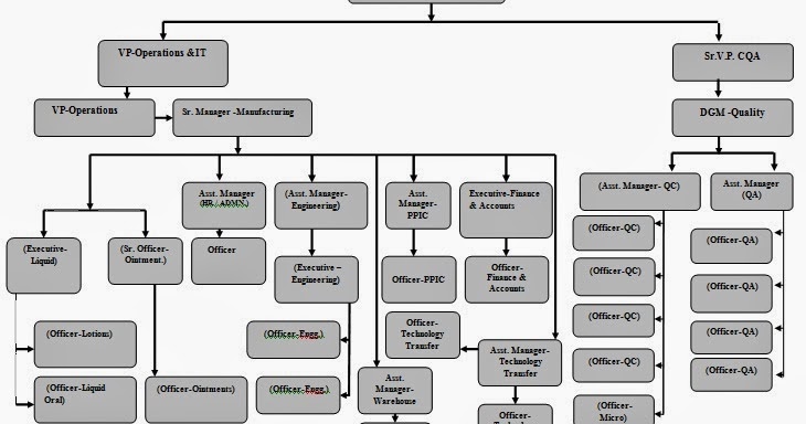 Organogram and Job Responsibilities in Pharmaceuticals 