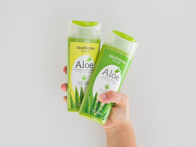 Hair care routine using aloe vera