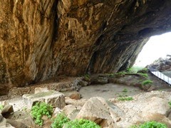 DSCN7787