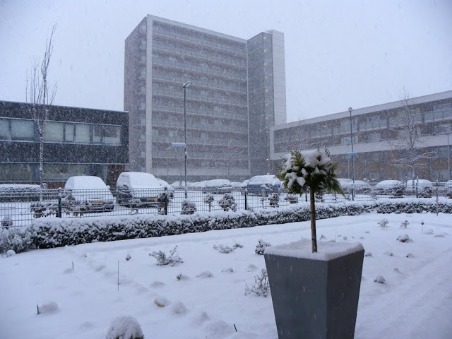 Sneeuw Zoetermeer