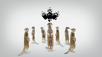 Meerkat Manor