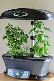 Why You Need An #AeroGarden (Product Review) + a 20% Off Discount Code #ad