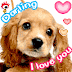 20 Gambar Anjing Lucu Gif