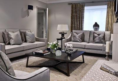 Living Room with Grey Sofa ideas