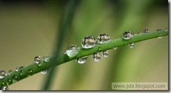 WaterDrops_ROW2687378166