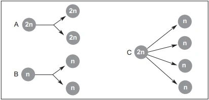 cefet