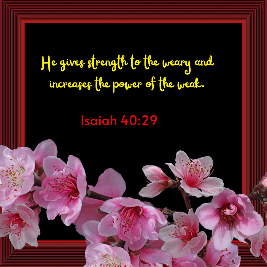 Bible Quotes About Strength in Hard Times