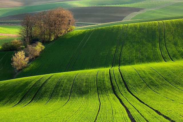 Beauty of Moravia