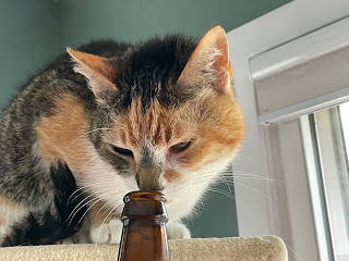 Cat Purrl sniffing an open bottle of Crimson Keep