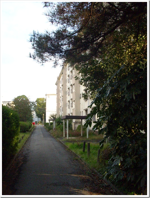 20111112_152754