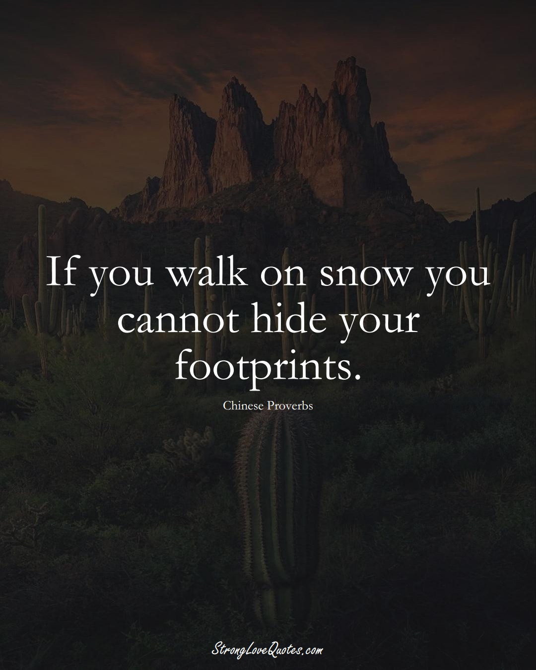 If you walk on snow you cannot hide your footprints. (Chinese Sayings);  #AsianSayings