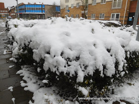 Snow on Fennel Street Loughborough