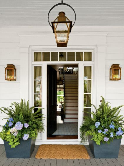 blue flower container gardening front porch entrance plants