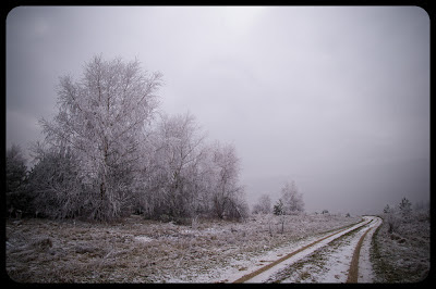 Zimowy pejzaż - Kolonia Ryczów koło Ogrodzieńca. fot. Łukasz Cyrus, Ruda Śląska.