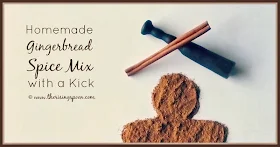 Homemade Gingerbread Spice Mix with a Kick | www.therisingspoon.com