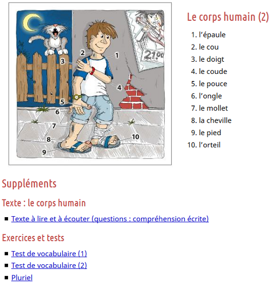 https://francais.lingolia.com/fr/vocabulaire/le-corps-humain/corps-humain-2