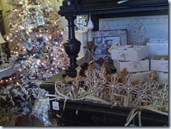holiday 018