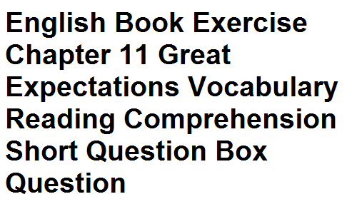 Matric Notes Class 10th English Book Exercise Chapter 11 Great Expectations Vocabulary Reading Comprehension Short Question Box Question