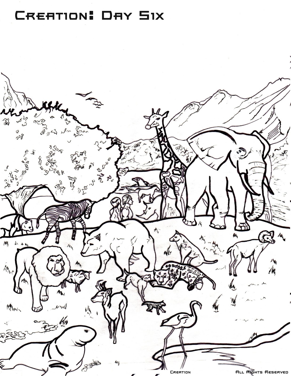 Coloring Pages Of God's Creation 5