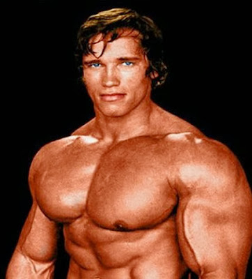 Arnold Schwarzenegger Body Muscles