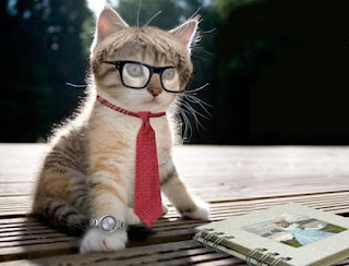 Gambar Kucing Lucu Pakai Kacamata dan Dasi