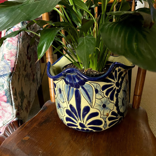 houseplant pot