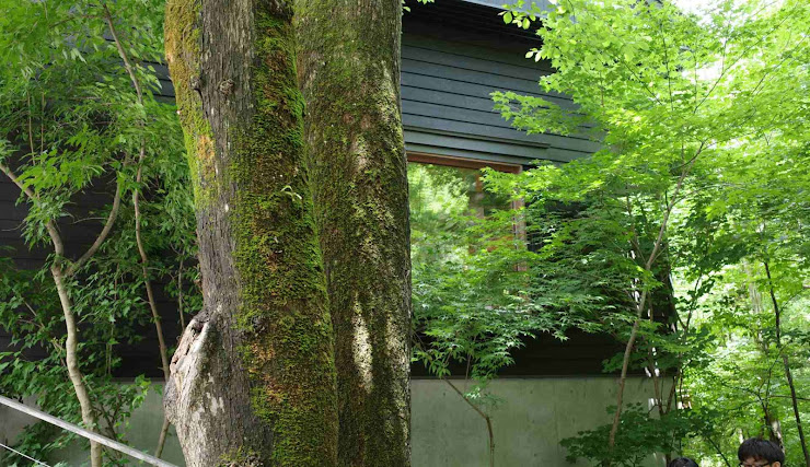 木立の中に佇む木造建てのお店