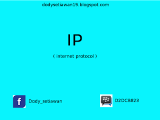 IP ( internet protocol )