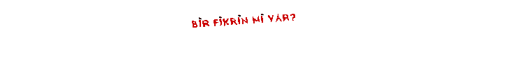 bir fikrin mi var