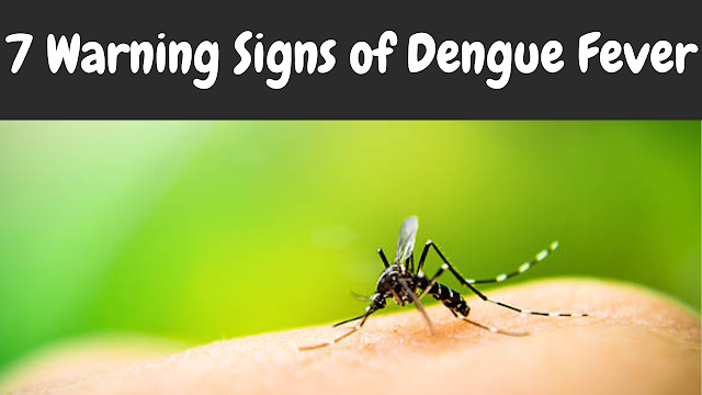 7 Warning Signs of Dengue Fever