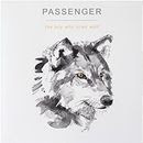 Passenger - Let Her Go Lyrics