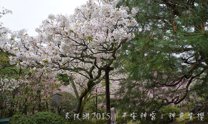 DSC03136
