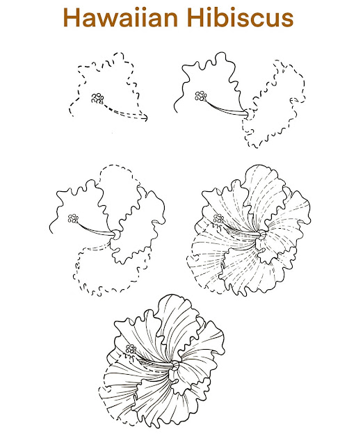 Beautiful Flower Drawings