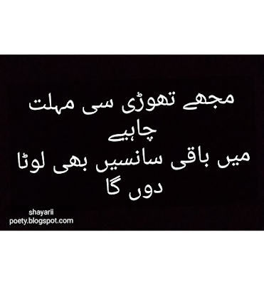 best urdu poetry // shayarii poetry