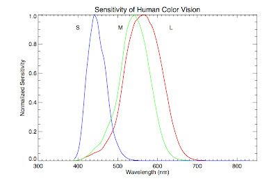 Plot of cone sensitivity vs. wavelength