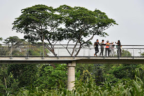 An elevated walkway at the Keppel Discovery Wetlands.