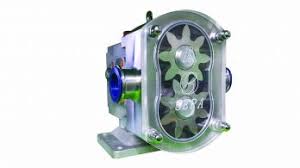 Rotary gear pump