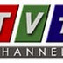 TV 1 Channel - Live