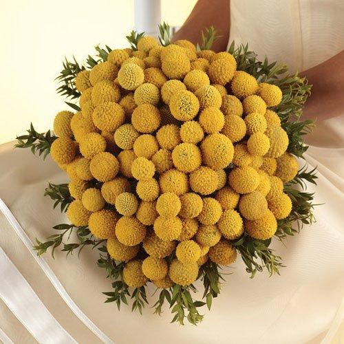 Best Flowers for Fall Weddings Source Best Flowers for Fall Weddings