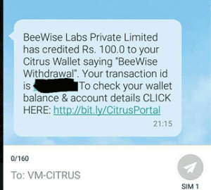 beewise payment proof