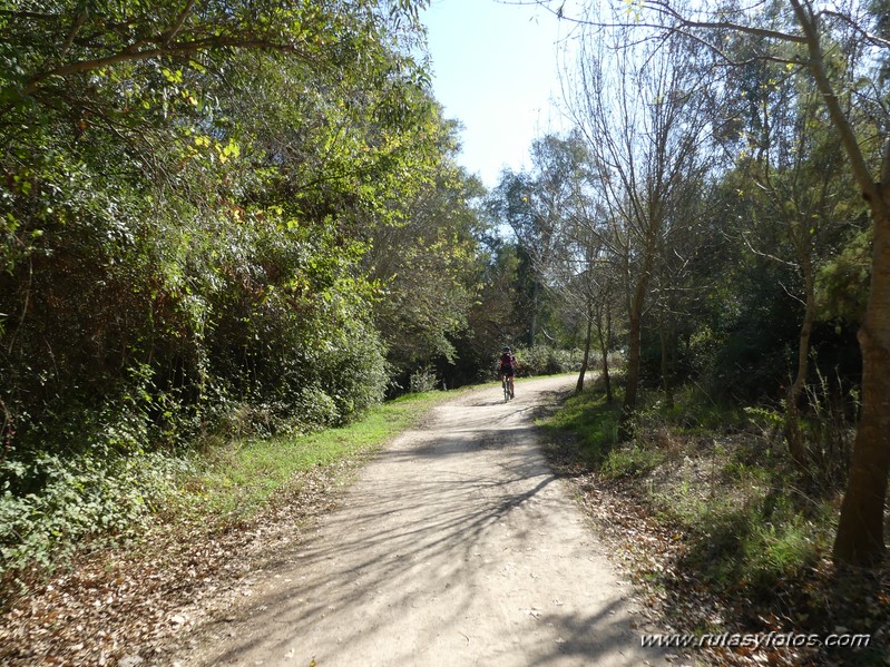 Tramo IV del Corredor Verde Dos Bahías