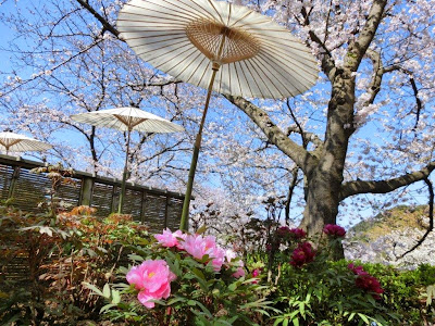  神苑ぼたん庭園