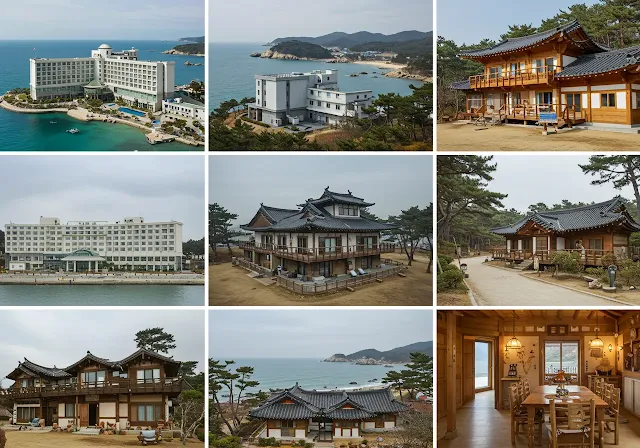 남해 숙소 추천 BEST, 오션뷰부터 감성 펜션까지 한눈에!