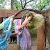 (Video) Vet basah kuyup dihujani cecair najis ketika merawat gajah sembelit