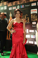 Reetu Varma smiling beauty in Deep Neck Red Gown at IIFA Utsavam Awards 2017  Day 2  Exclusive 21.JPG