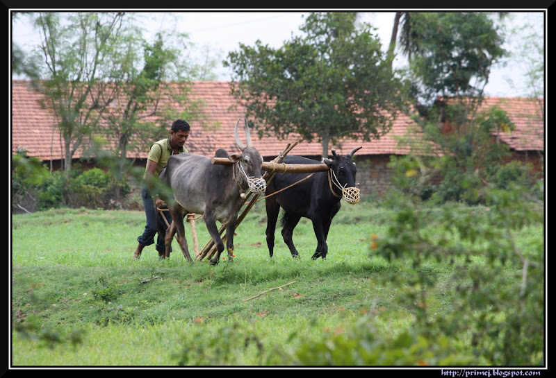 Ploughing